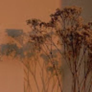 Meet your Posher, Gabriella